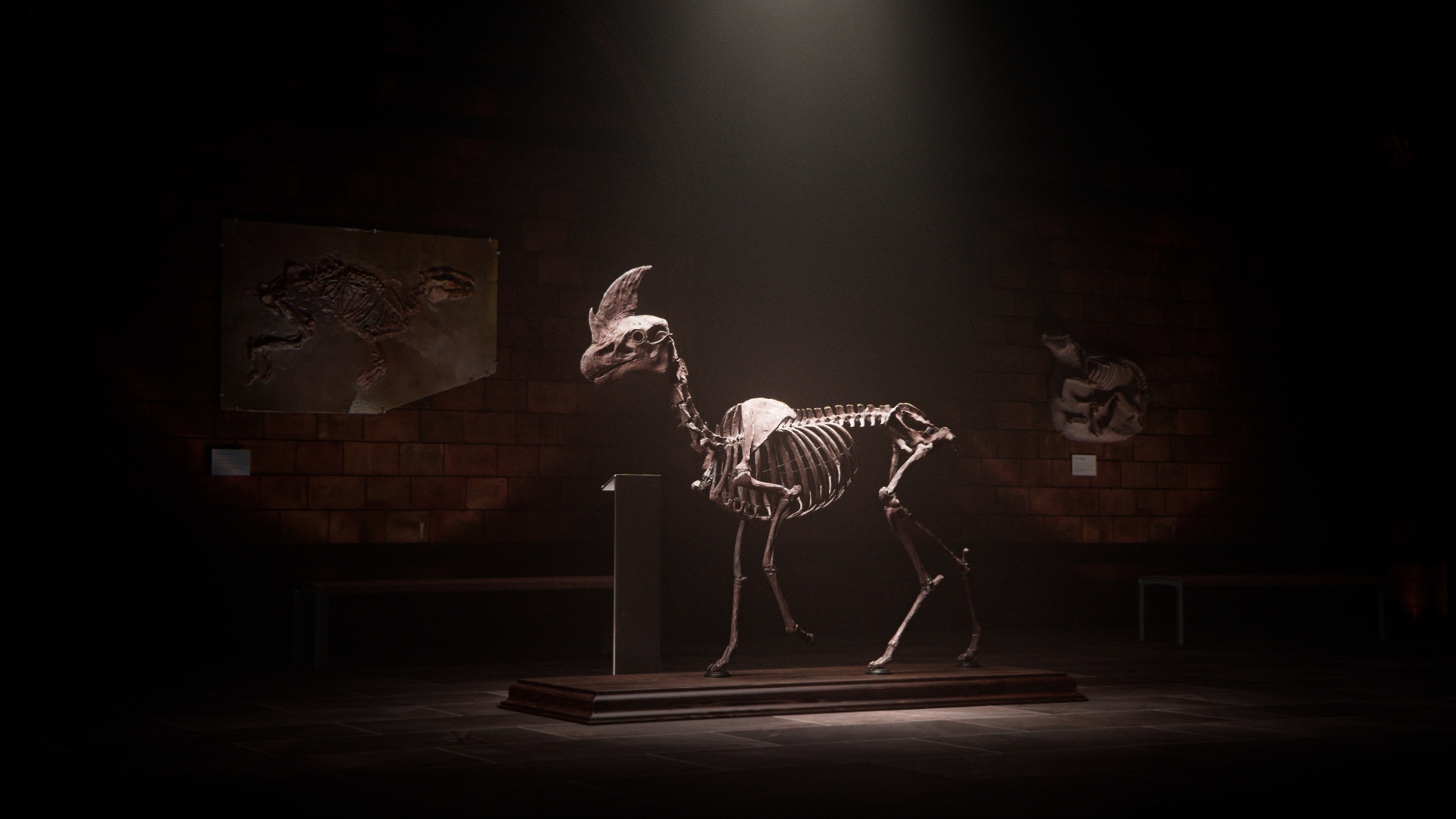 cervus_rostratus_the_beaked_deer_still_1 cervus_rostratus_the_beaked_deer_still_1
